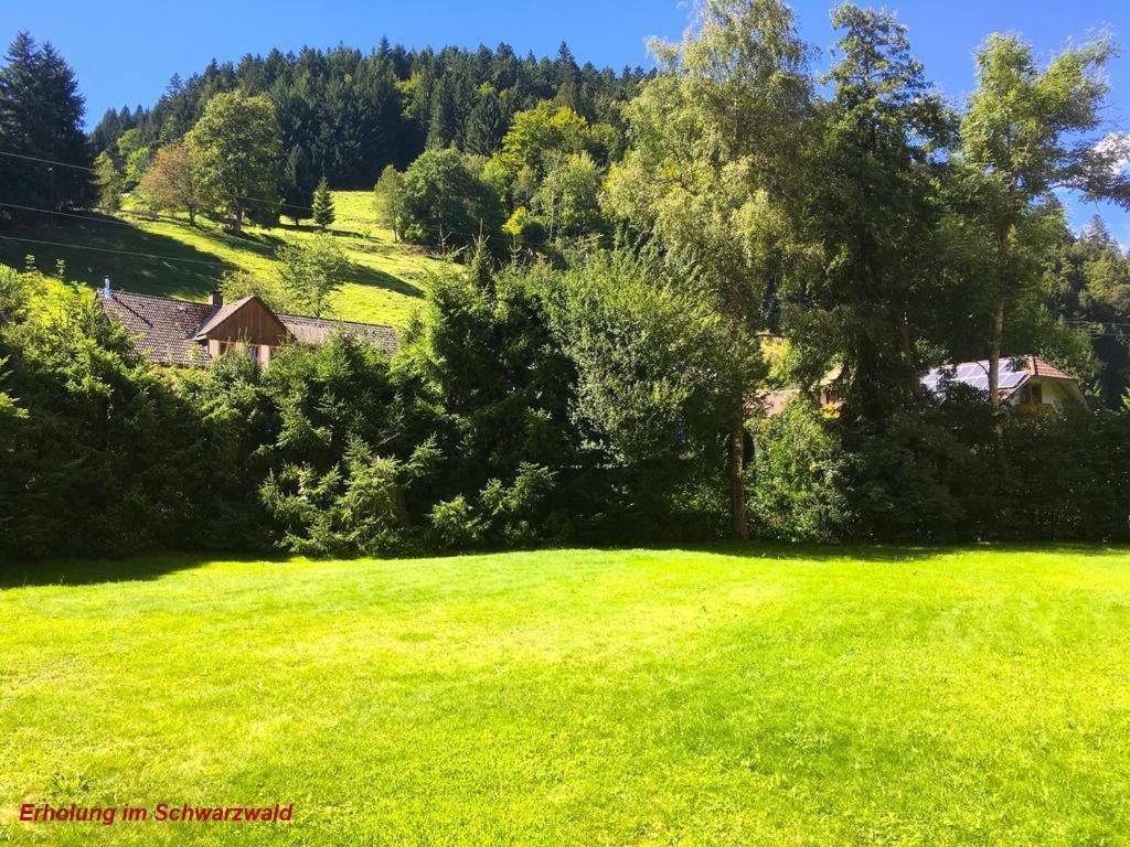 Ferienwohnung Schwarz Todtmoos Exterior foto