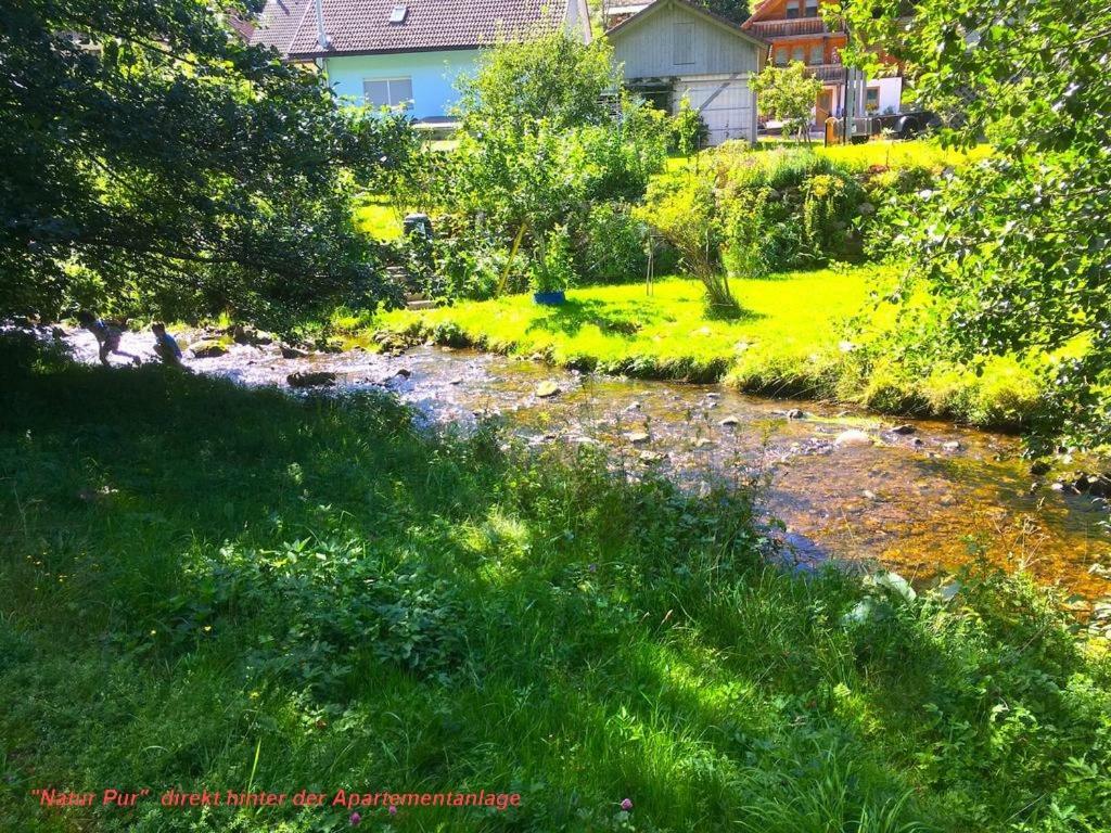 Ferienwohnung Schwarz Todtmoos Exterior foto